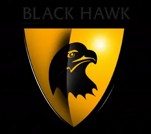 Black Hawk Security